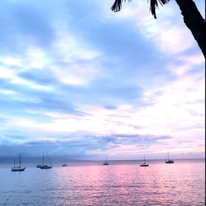 Meet your Posher, Jade